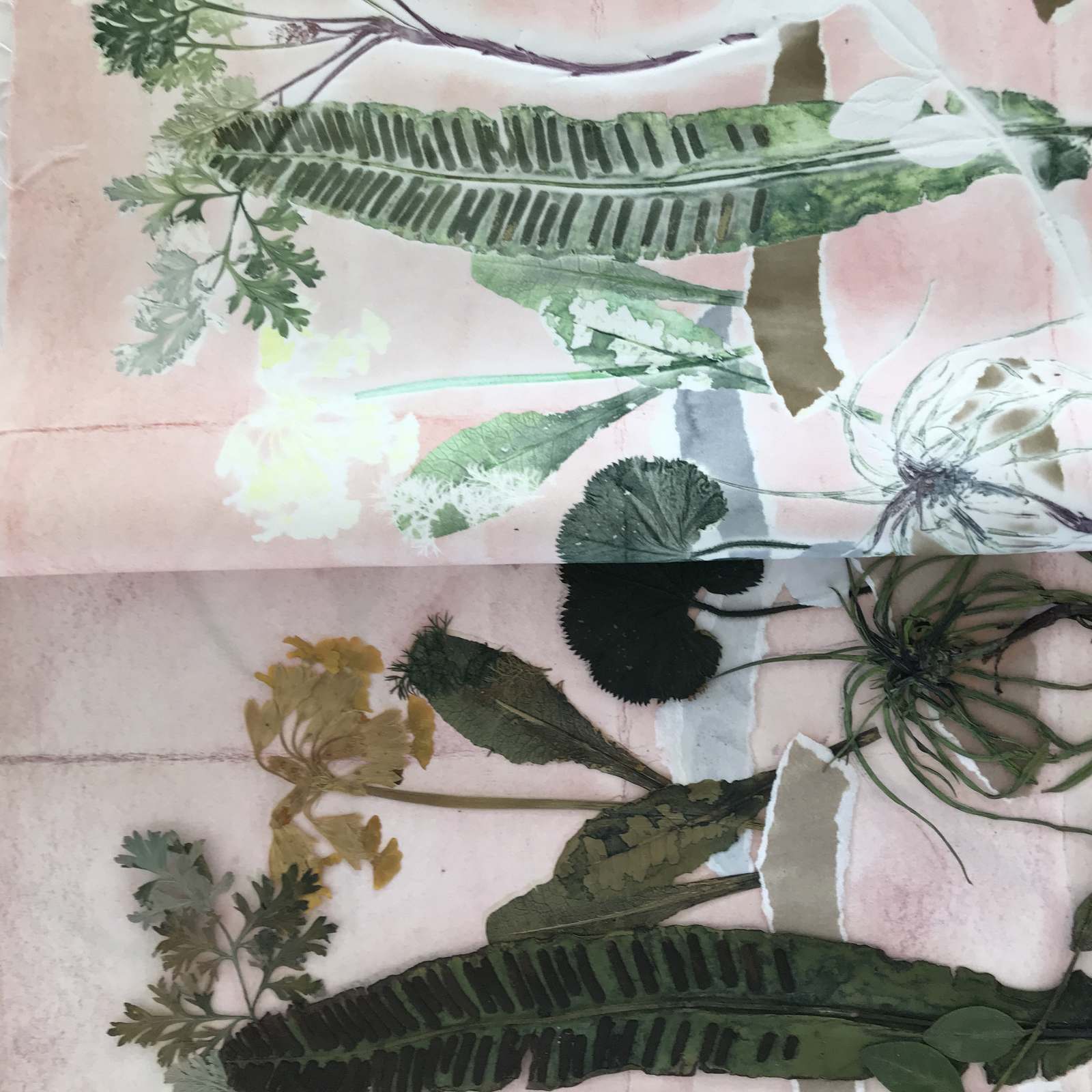 Kursus i botanisk plantetryk: Tema og variation (2 dage)