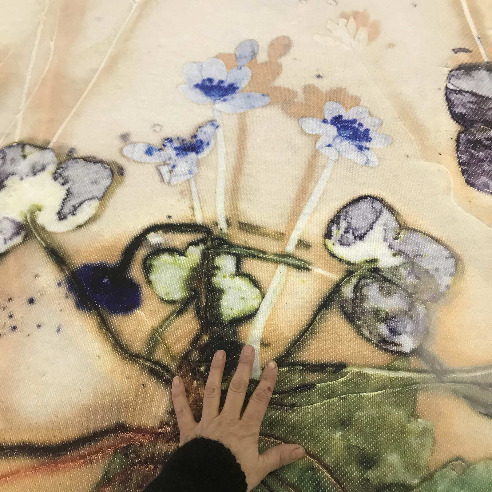 Tapet med Blue Windflower