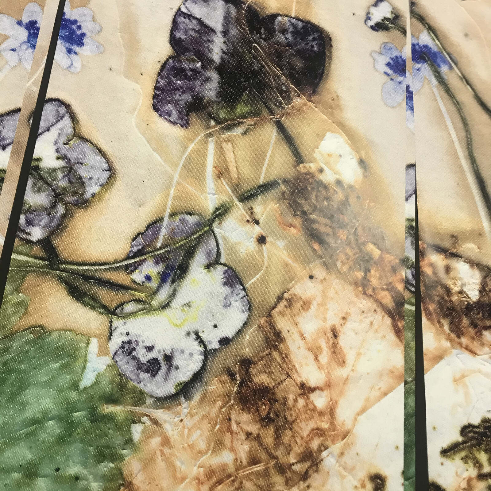 Tapet med Blue Windflower