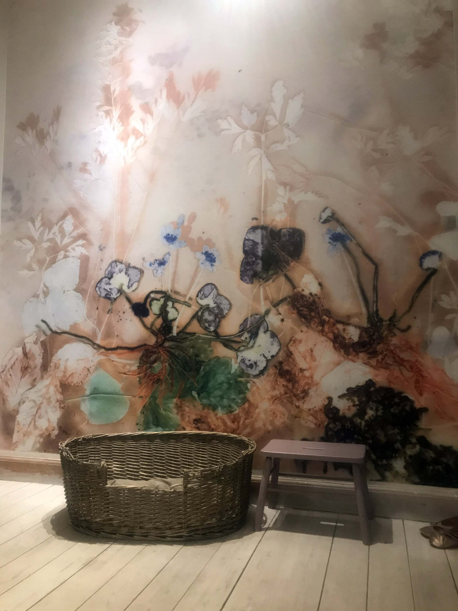 Tapet med Blue Windflower