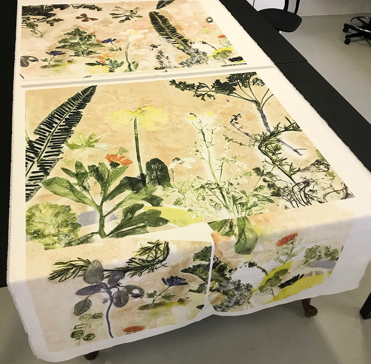 Kursus i botanisk tryk - for øvede (2 dage)