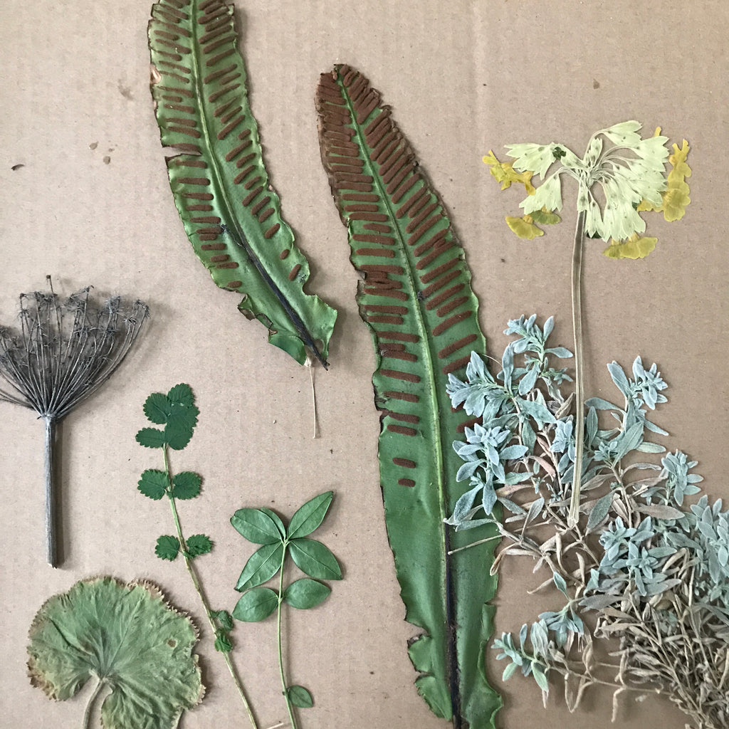 Kursus i botanisk plantetryk: Tema og variation (2 dage)