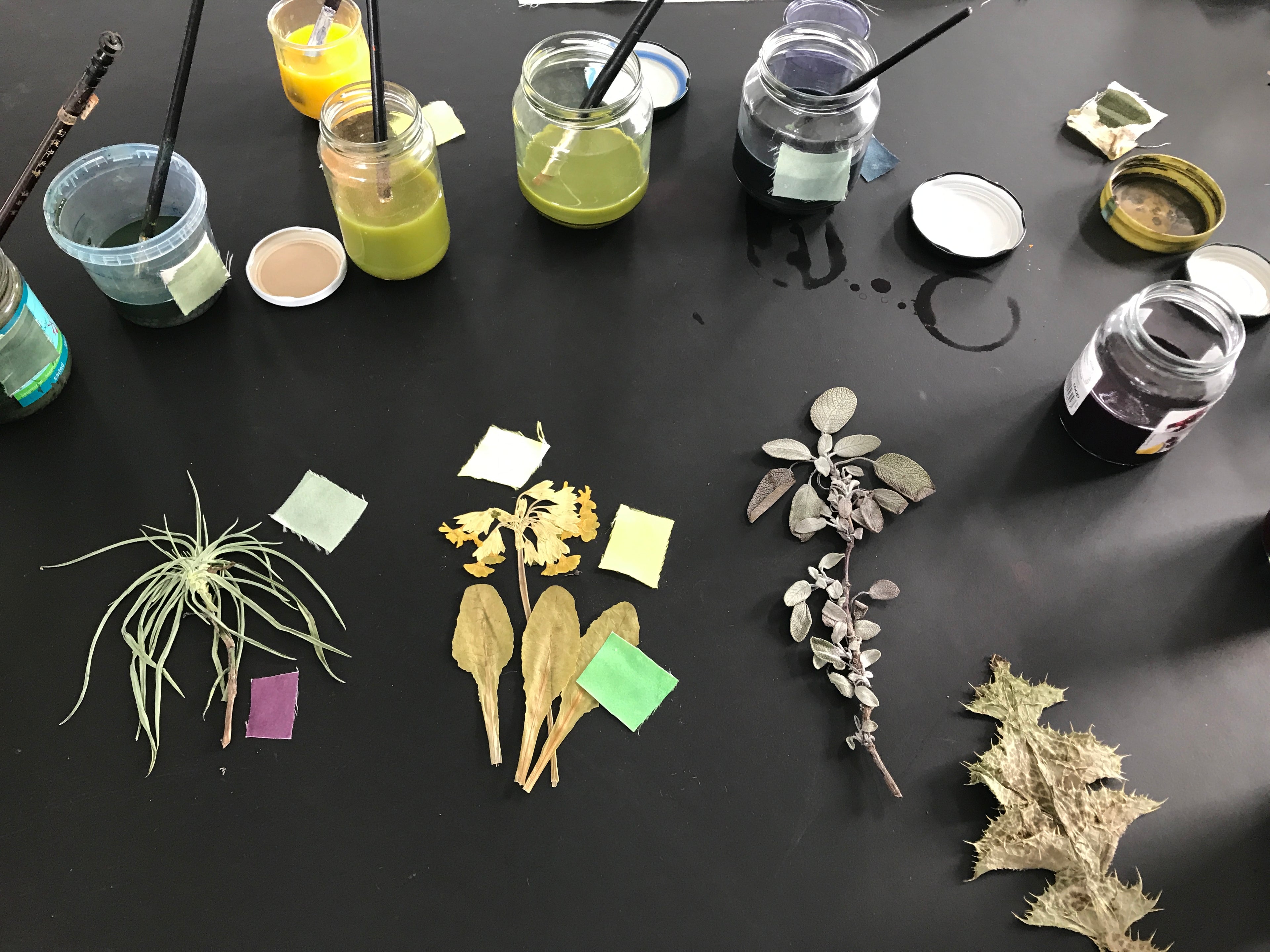 Kursus i botanisk plantetryk: Tema og variation (2 dage)