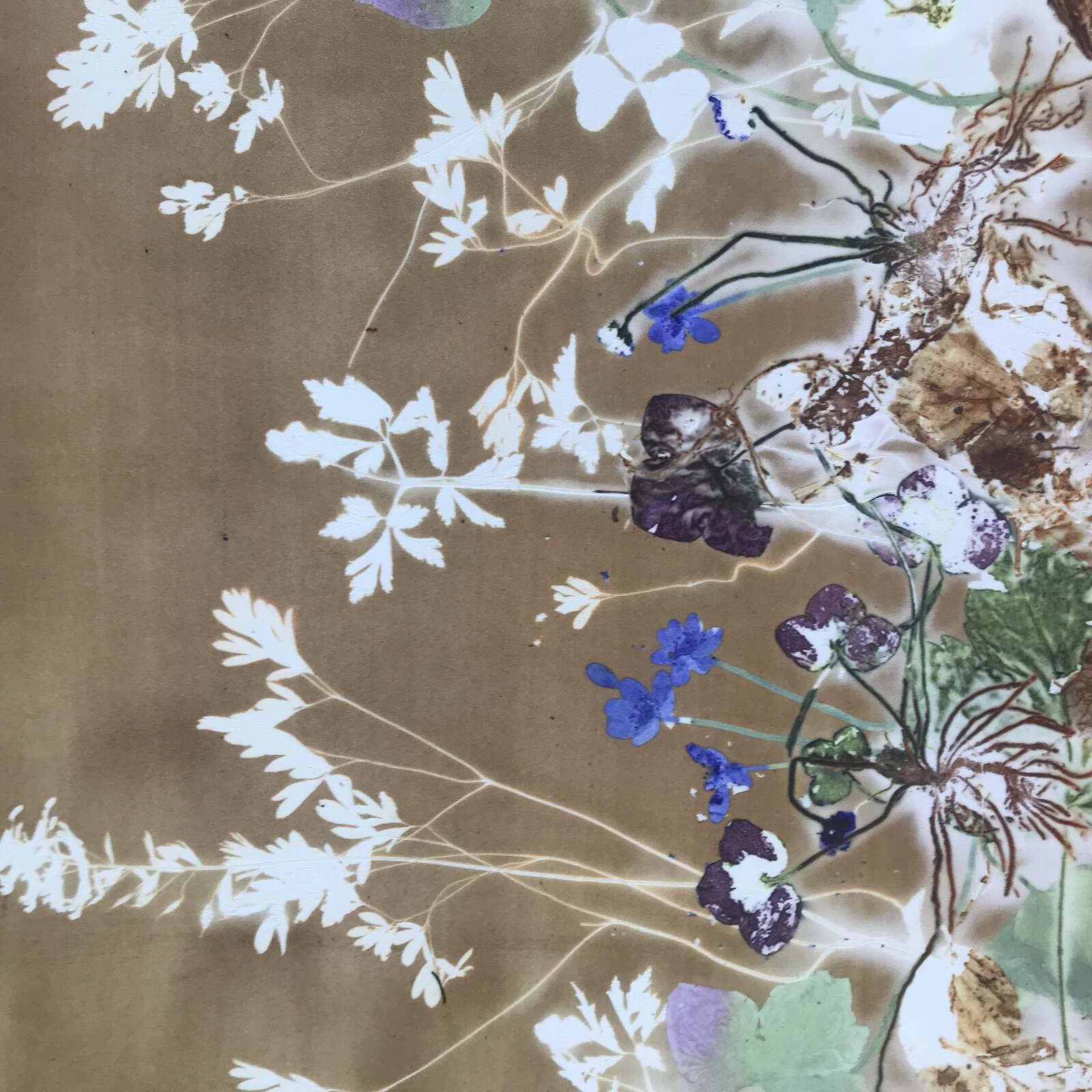 Kursus i botanisk tryk: Tegn for forår (2 dage)