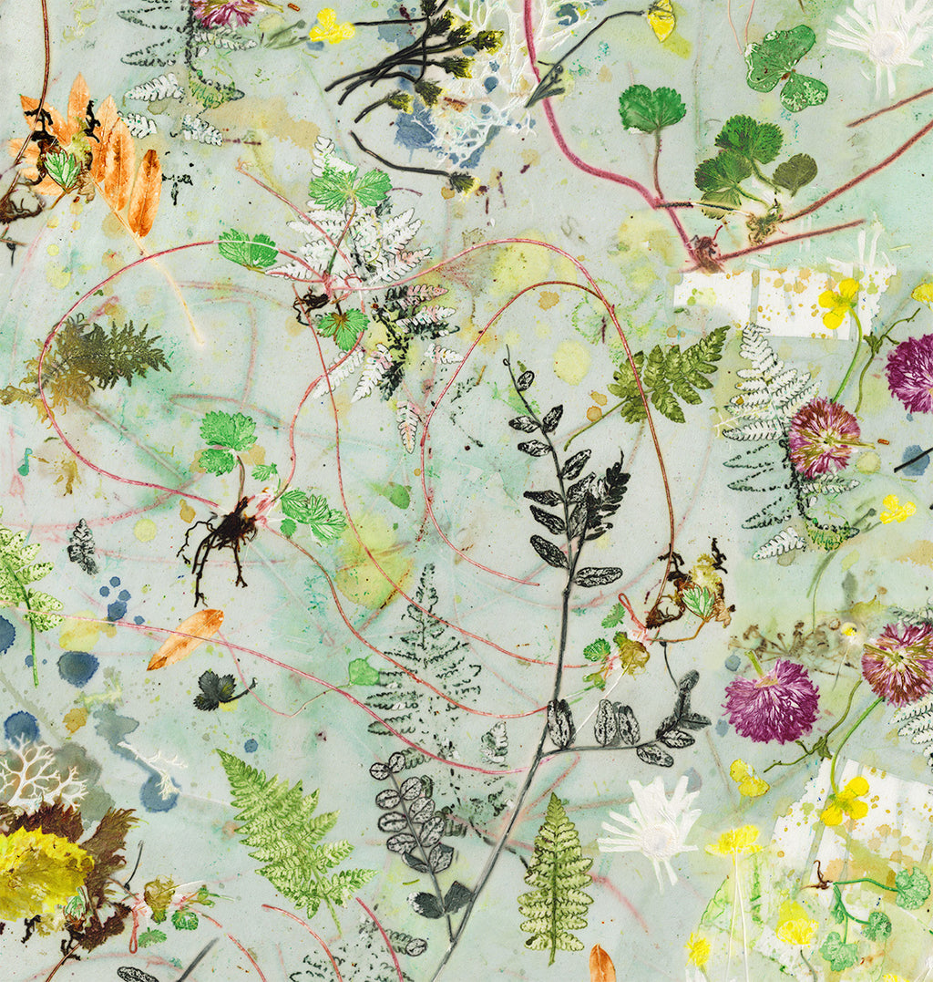 Kursus i botanisk tryk - for øvede (2 dage)