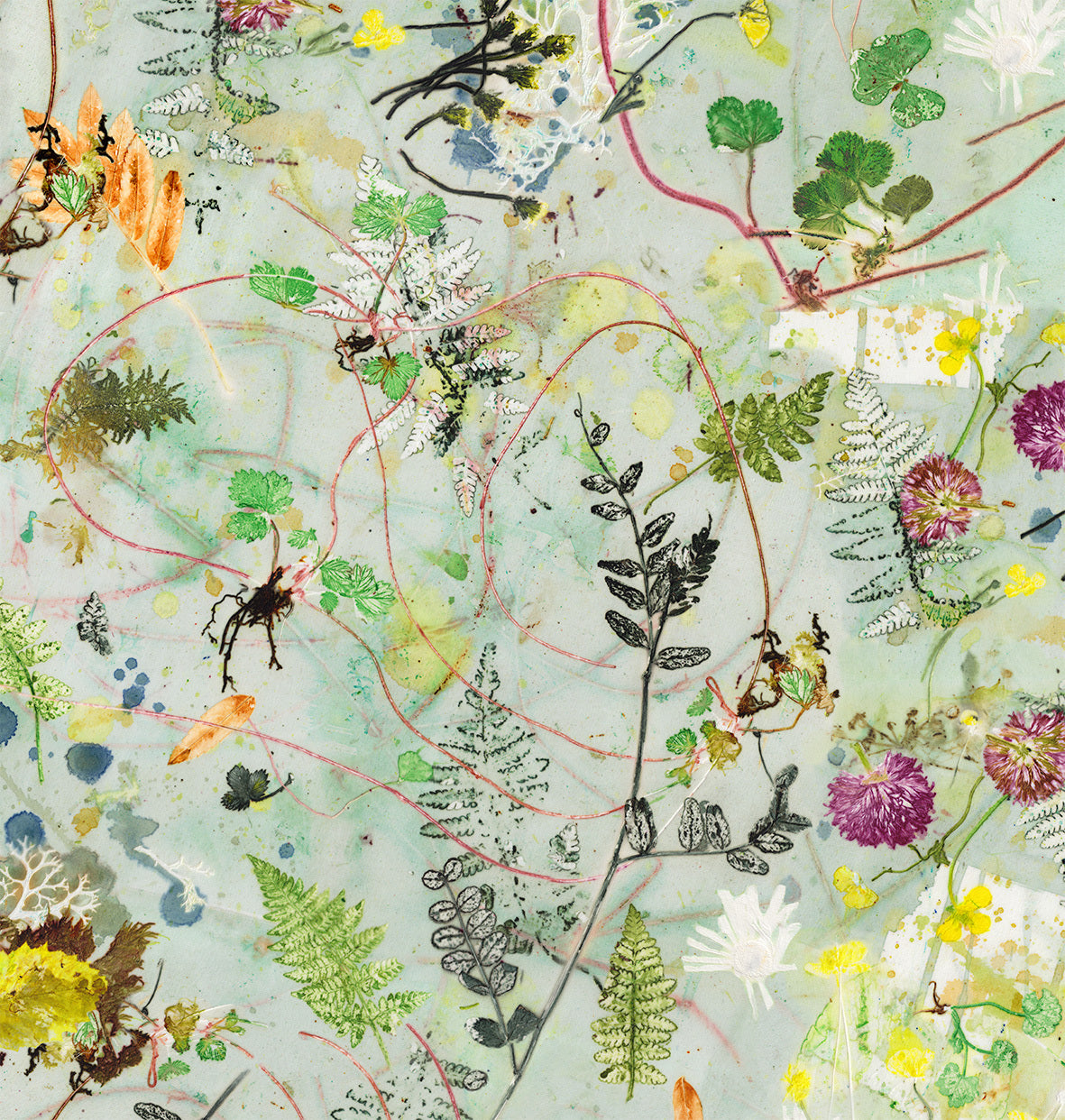 Kursus i botanisk tryk - for øvede (2 dage)