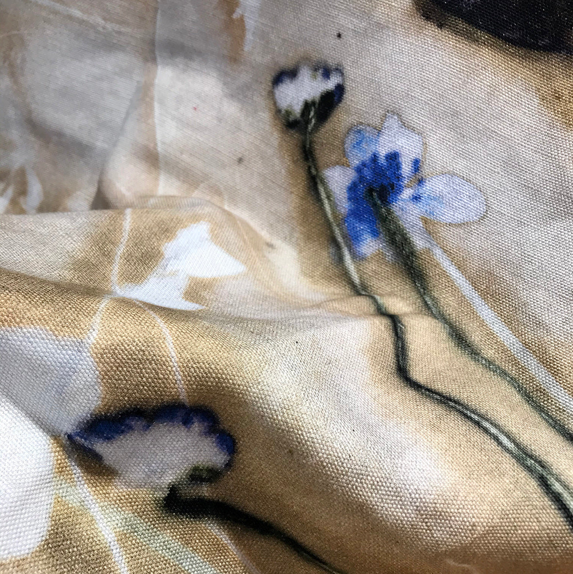 Dug med Blue Windflower