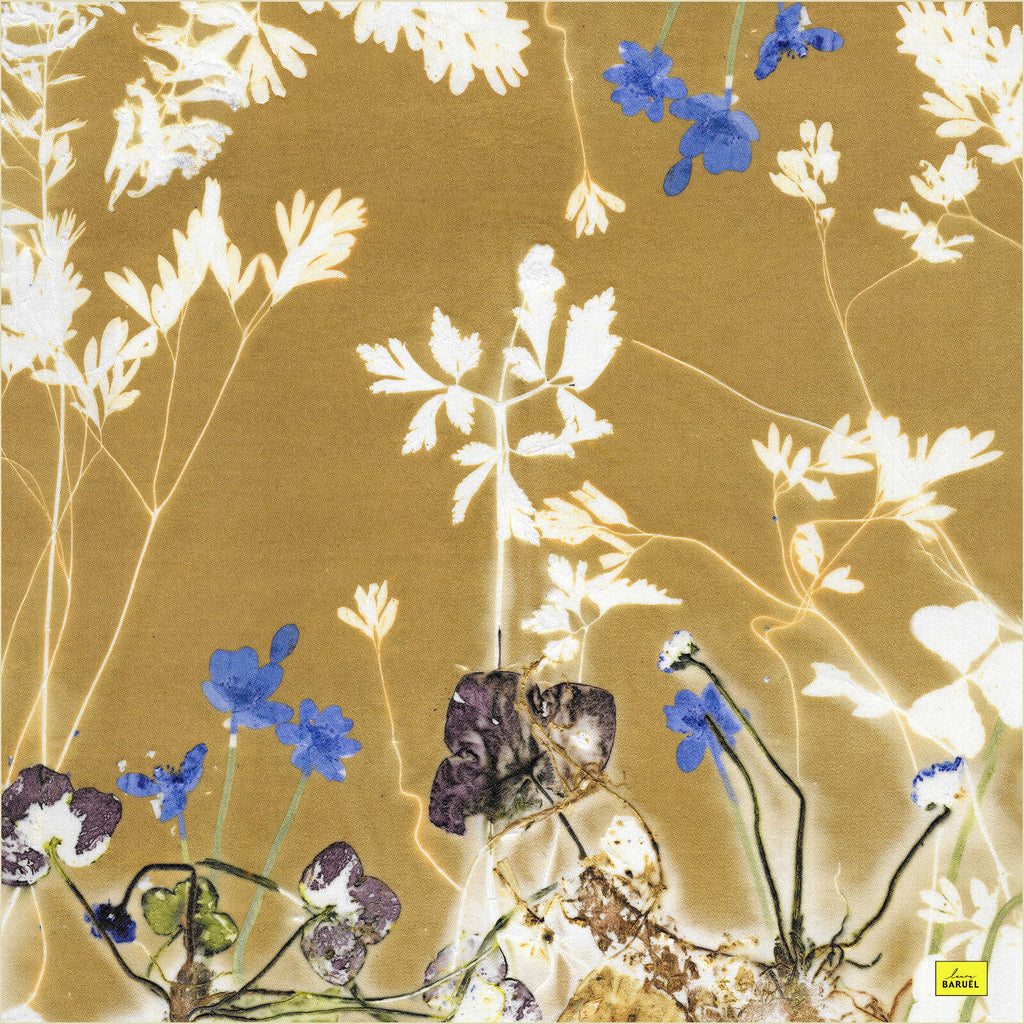 Tørklæde med Blue Windflower